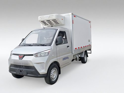 五菱新能源   “冰宝”冷藏车