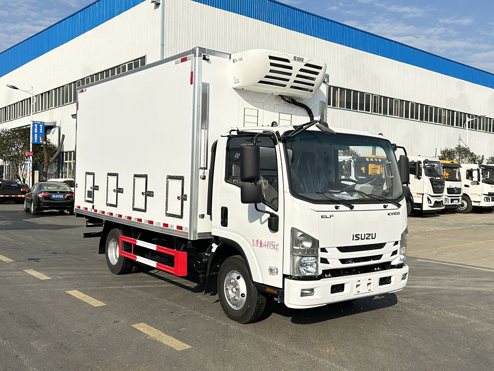 国六 五十铃kv100雏禽运输车（鸡苗）