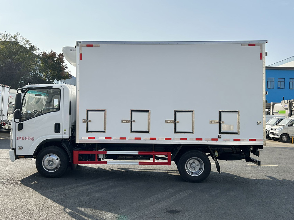 国六 五十铃kv100雏禽运输车（鸡苗）