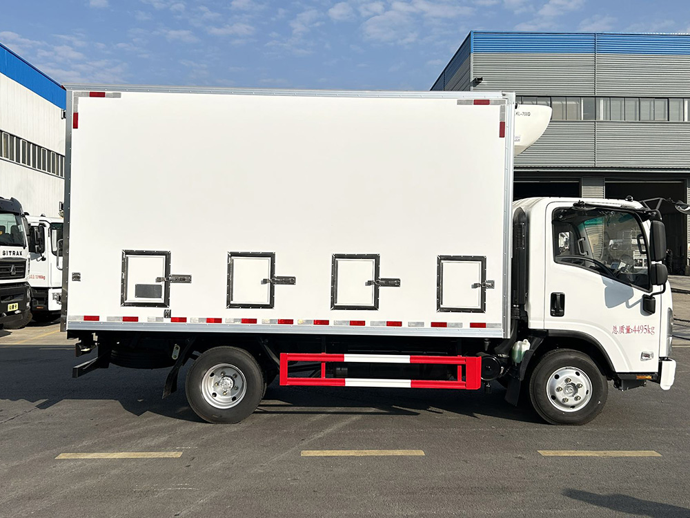 国六 五十铃kv100雏禽运输车（鸡苗）