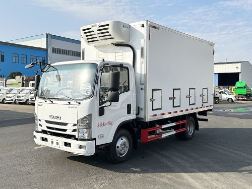 国六 五十铃kv100雏禽运输车（鸡苗）